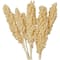 Dried Corn Maize Natural Foliage with Long Stems